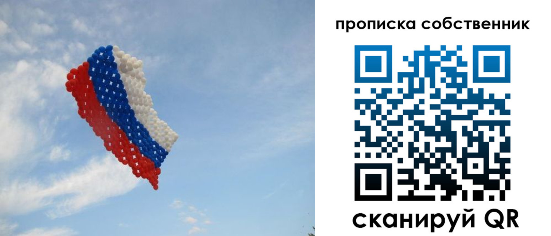 временная регистрация поиск в Болотном